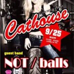 cathouse